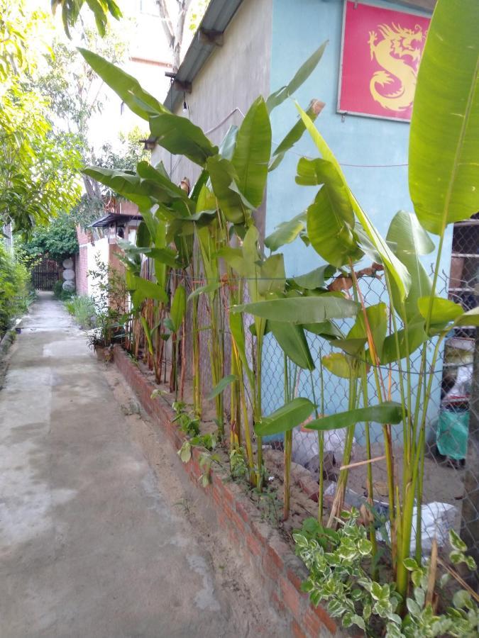 Pink Beach Homestay Hoi An Zewnętrze zdjęcie